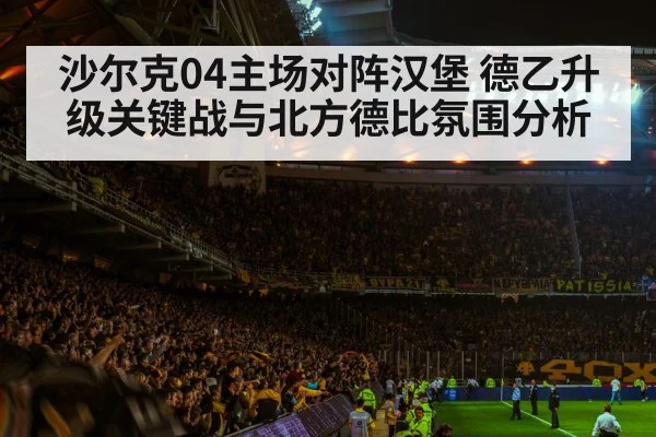 沙尔克04主场对阵汉堡 德乙升级关键战与北方德比氛围分析（KAIYUN）